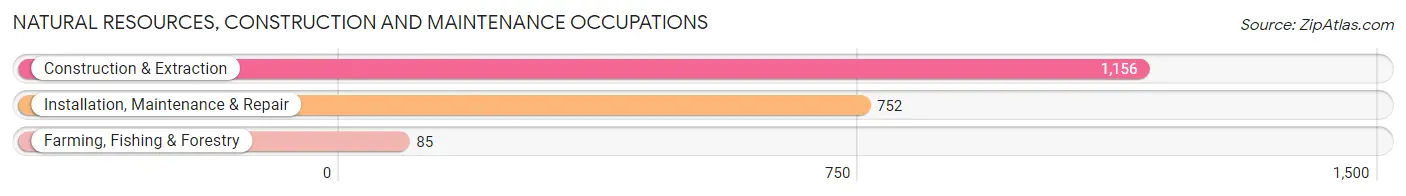 Natural Resources, Construction and Maintenance Occupations in Cathedral City