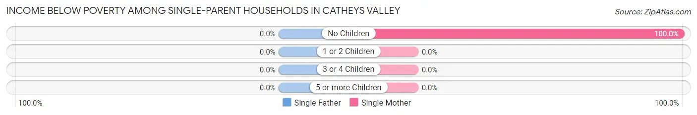 Income Below Poverty Among Single-Parent Households in Catheys Valley
