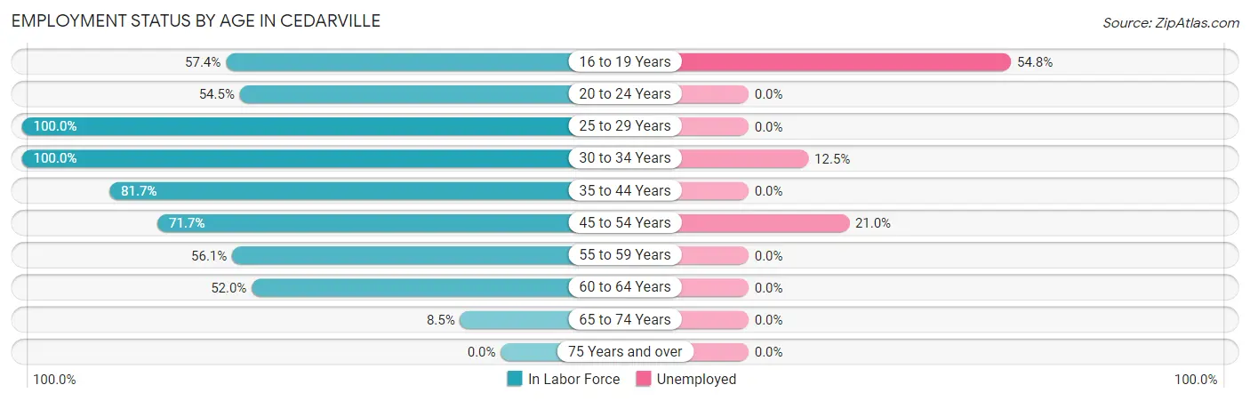 Employment Status by Age in Cedarville