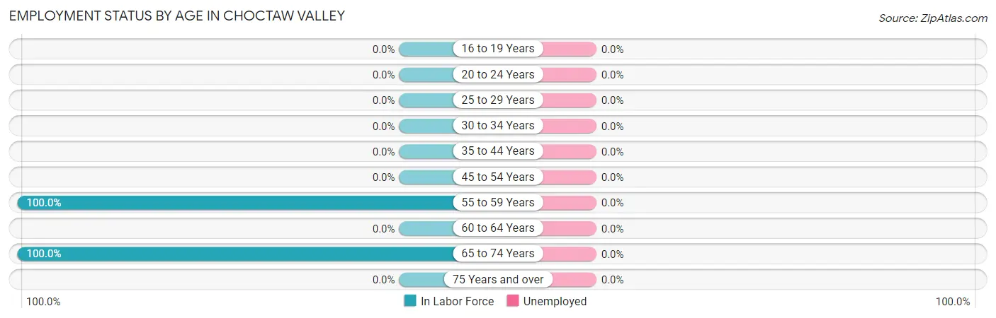 Employment Status by Age in Choctaw Valley