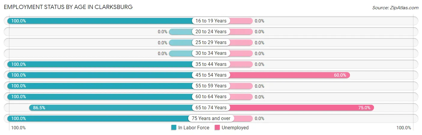Employment Status by Age in Clarksburg
