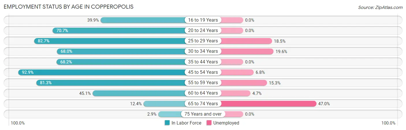 Employment Status by Age in Copperopolis