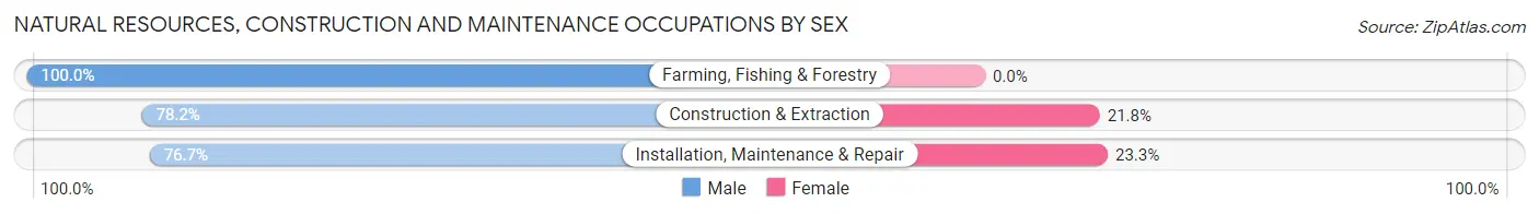 Natural Resources, Construction and Maintenance Occupations by Sex in Crockett