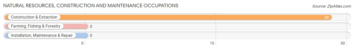 Natural Resources, Construction and Maintenance Occupations in Doyle