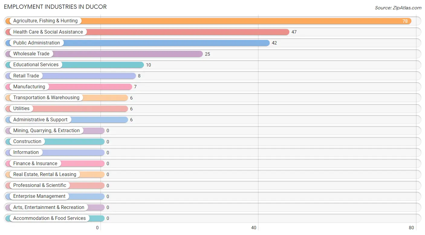 Employment Industries in Ducor