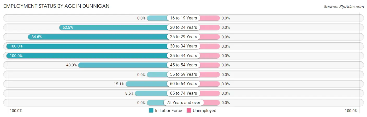 Employment Status by Age in Dunnigan