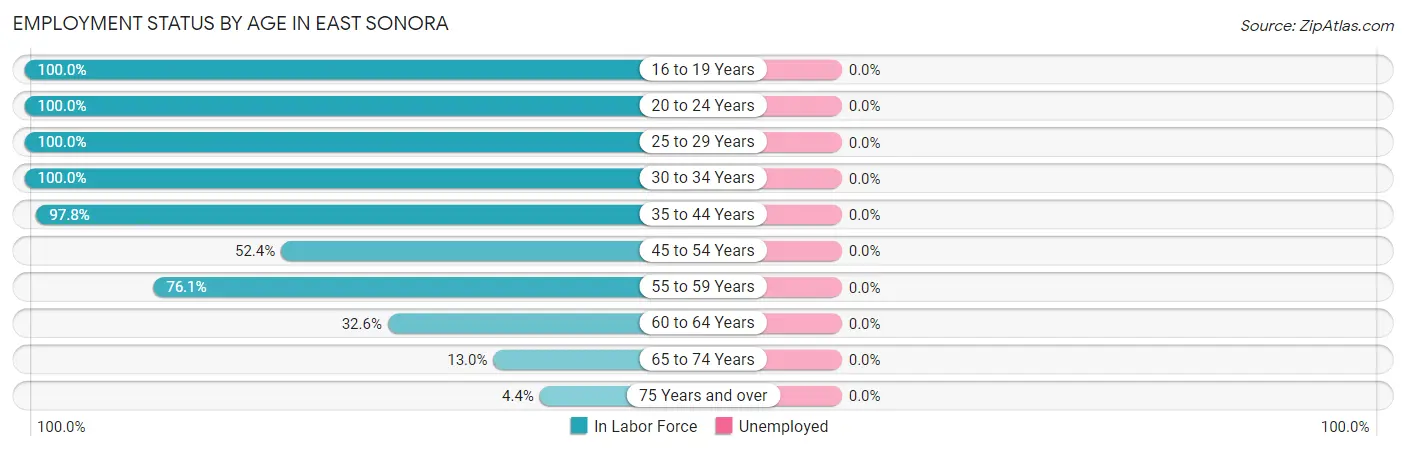 Employment Status by Age in East Sonora