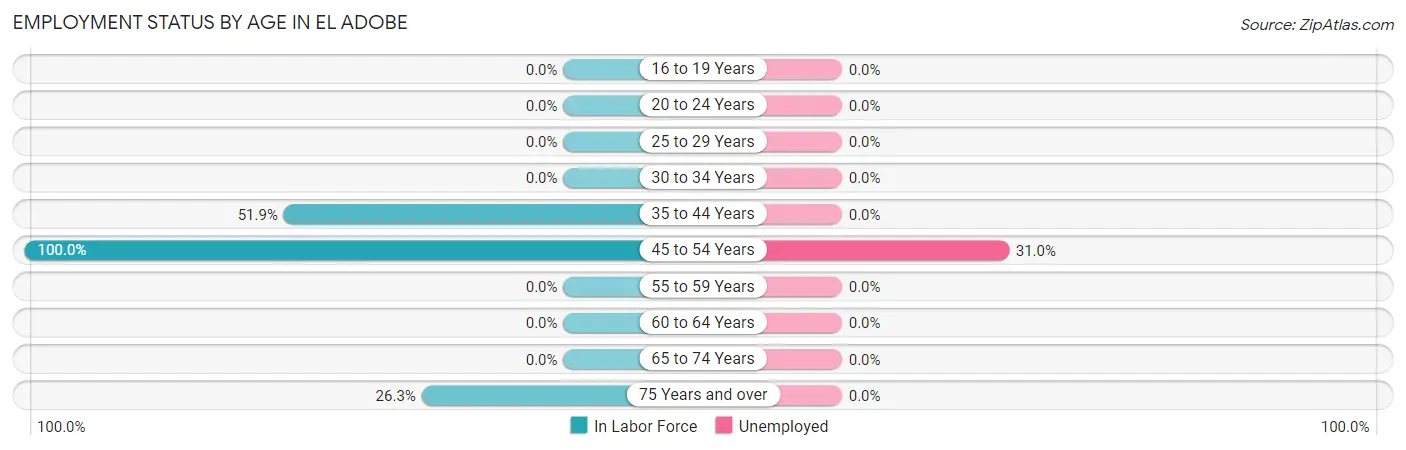 Employment Status by Age in El Adobe