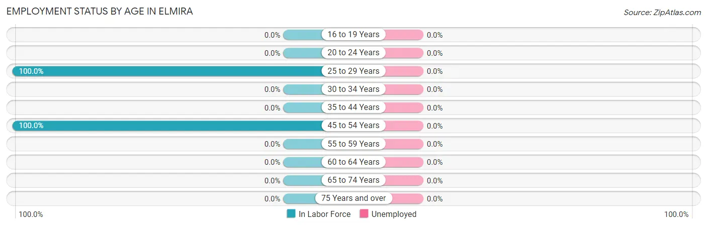 Employment Status by Age in Elmira