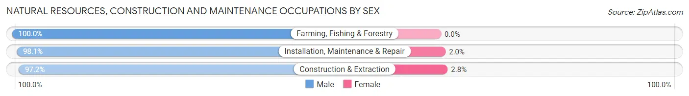 Natural Resources, Construction and Maintenance Occupations by Sex in Elverta