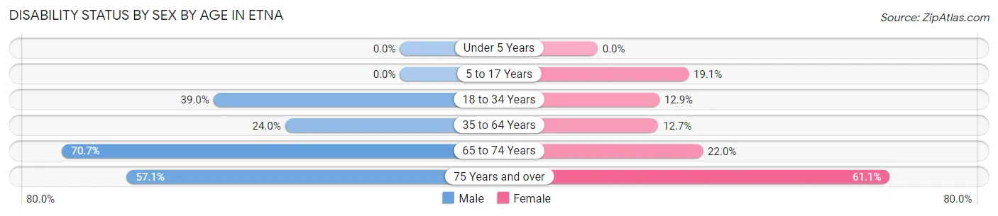 Disability Status by Sex by Age in Etna