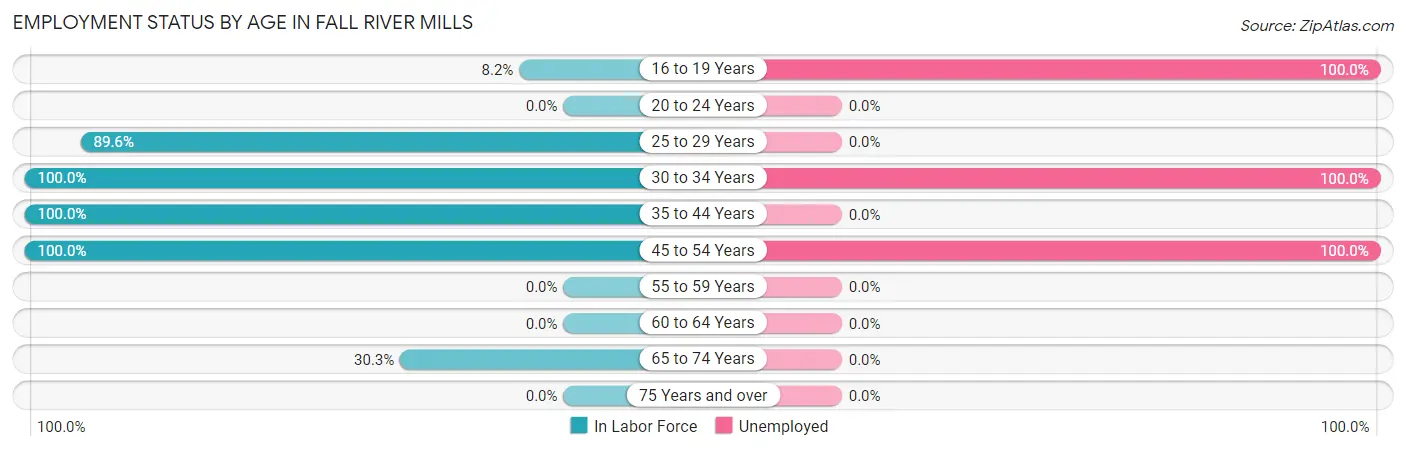 Employment Status by Age in Fall River Mills