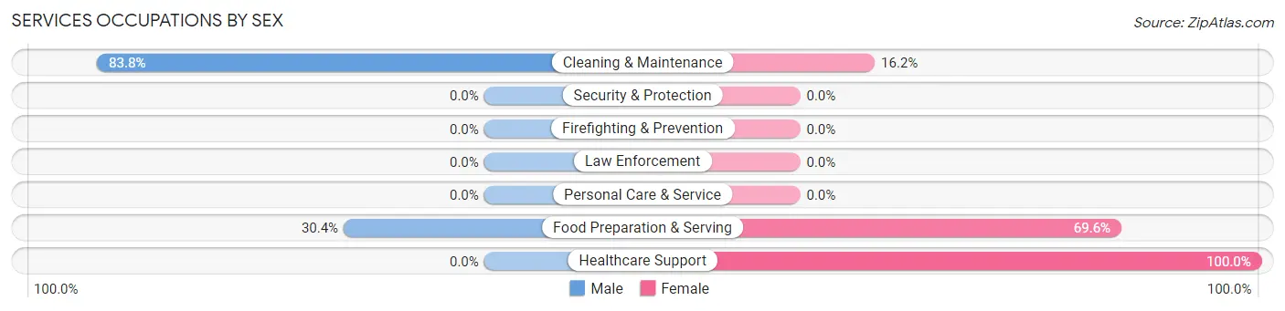 Services Occupations by Sex in Ford City