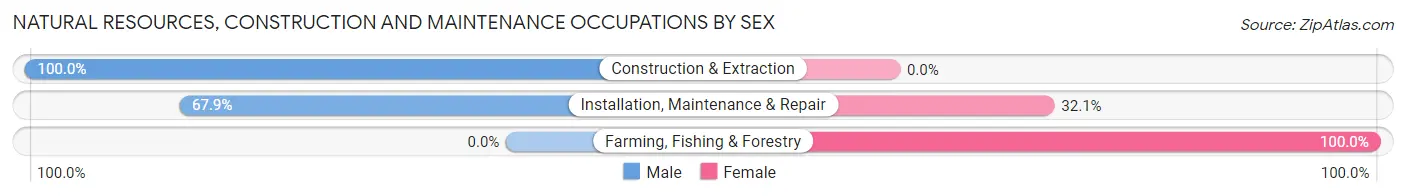 Natural Resources, Construction and Maintenance Occupations by Sex in Forestville