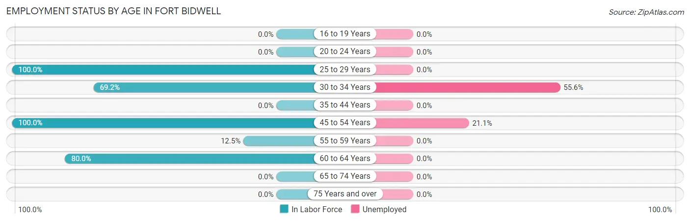 Employment Status by Age in Fort Bidwell