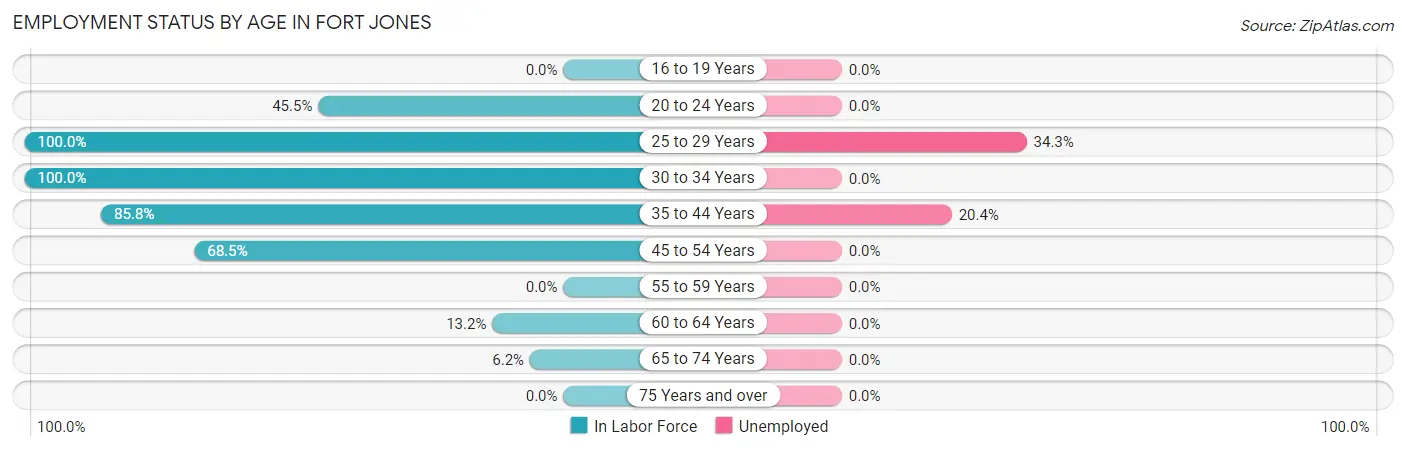 Employment Status by Age in Fort Jones