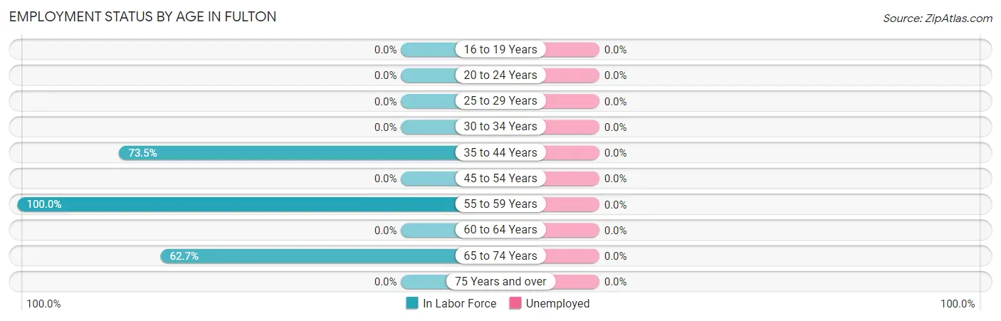 Employment Status by Age in Fulton