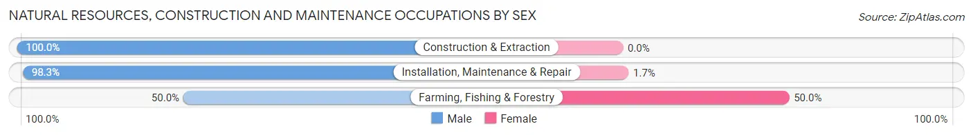 Natural Resources, Construction and Maintenance Occupations by Sex in Goleta