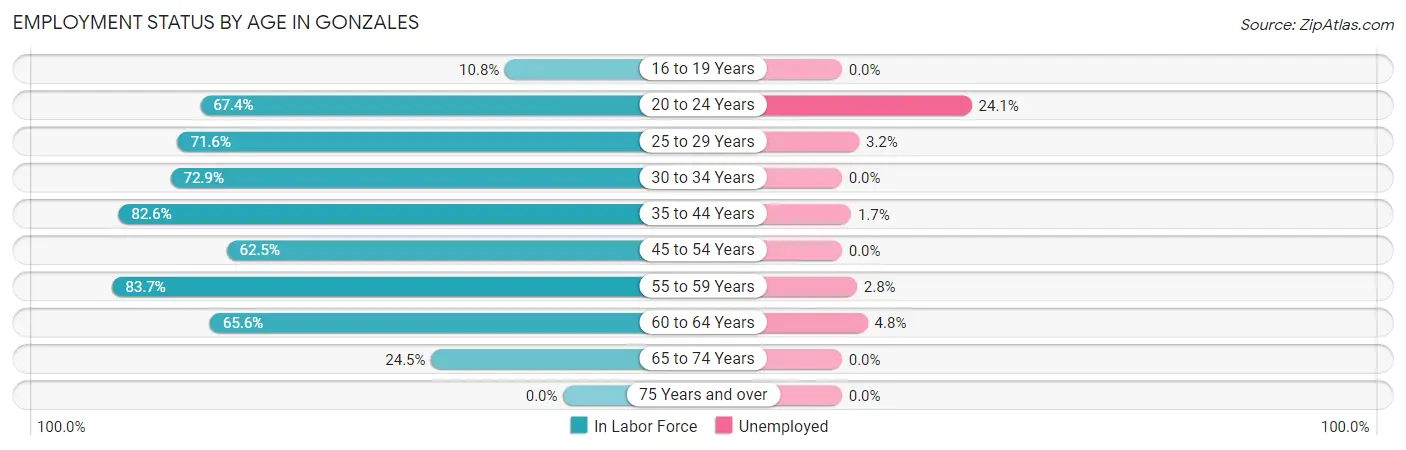 Employment Status by Age in Gonzales