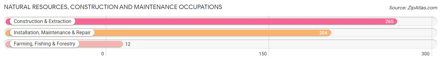 Natural Resources, Construction and Maintenance Occupations in Grand Terrace