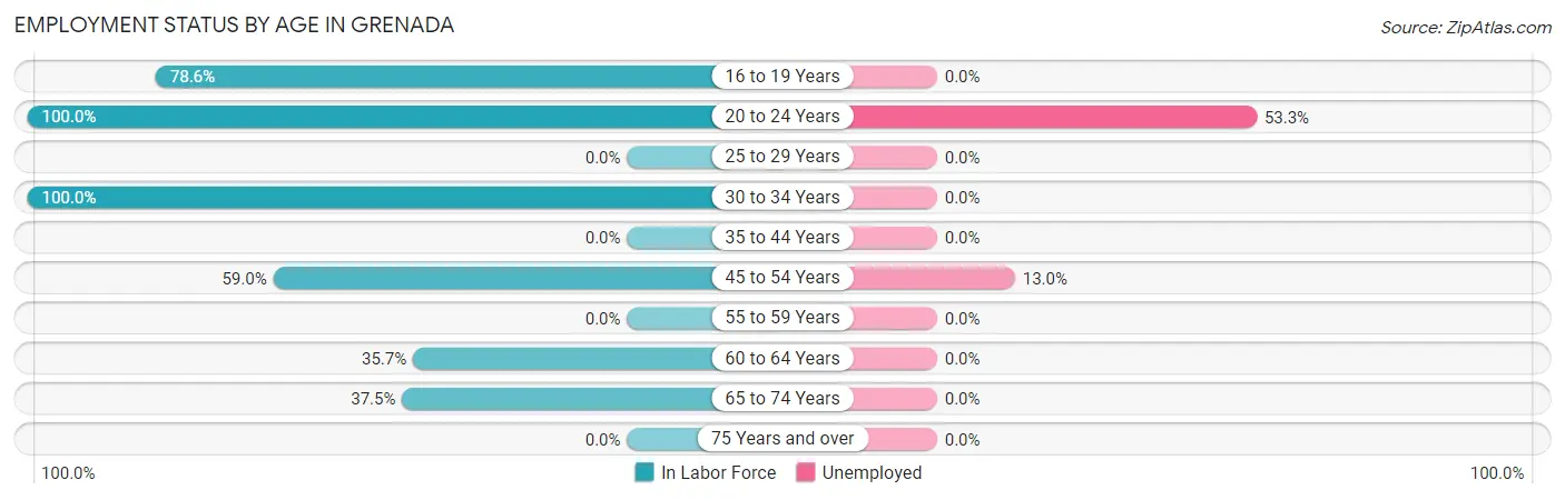 Employment Status by Age in Grenada