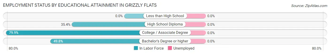 Employment Status by Educational Attainment in Grizzly Flats