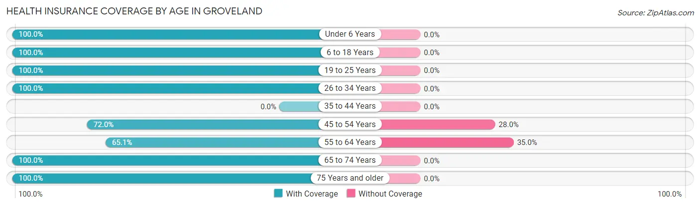Health Insurance Coverage by Age in Groveland