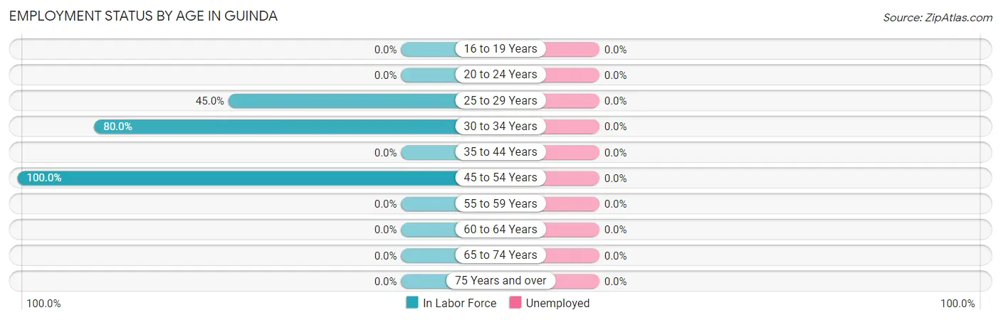 Employment Status by Age in Guinda