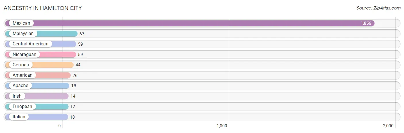 Ancestry in Hamilton City