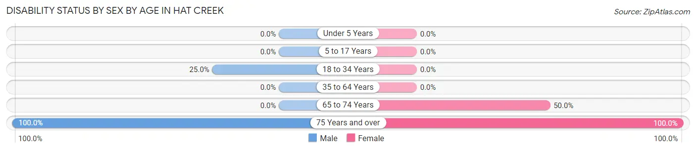 Disability Status by Sex by Age in Hat Creek
