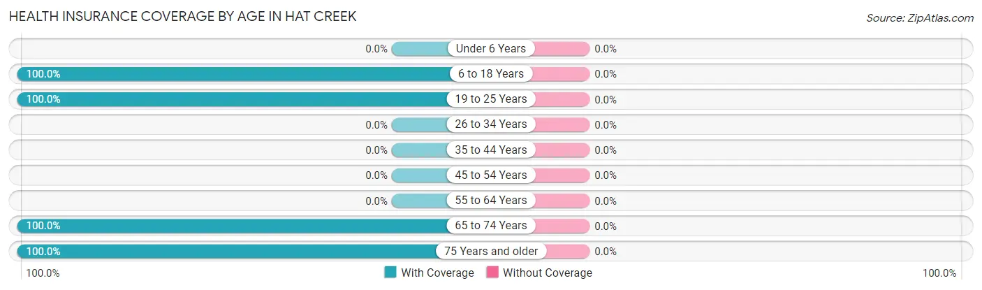 Health Insurance Coverage by Age in Hat Creek