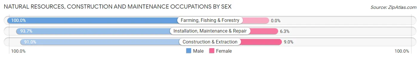Natural Resources, Construction and Maintenance Occupations by Sex in Healdsburg