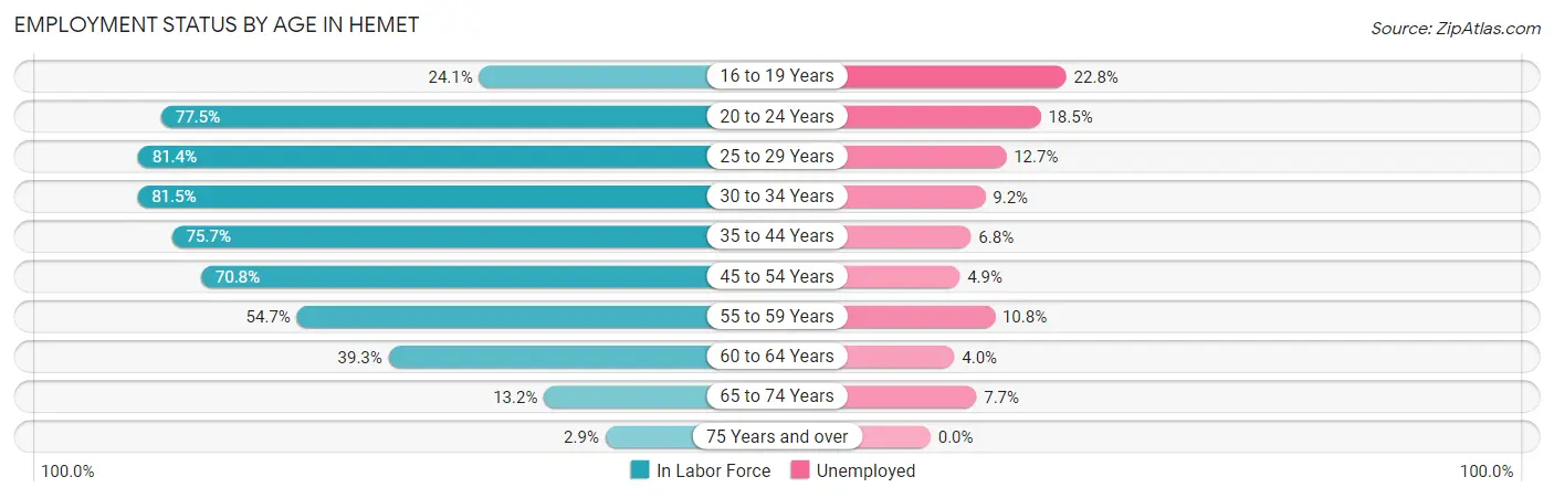 Employment Status by Age in Hemet
