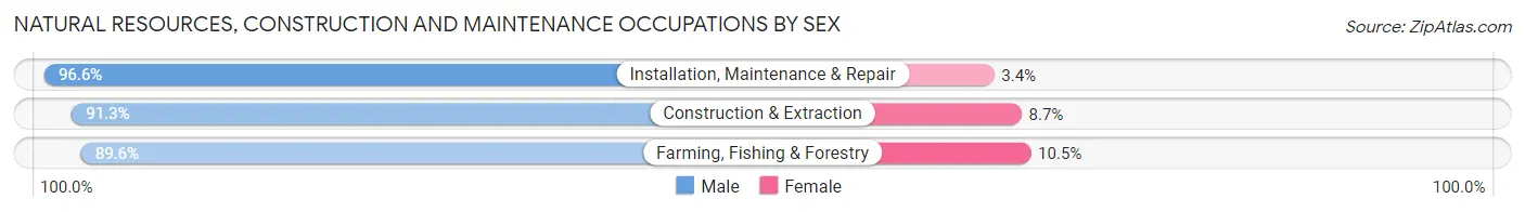 Natural Resources, Construction and Maintenance Occupations by Sex in Hemet