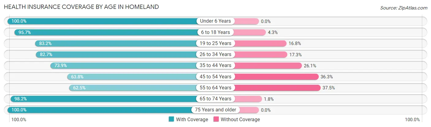 Health Insurance Coverage by Age in Homeland