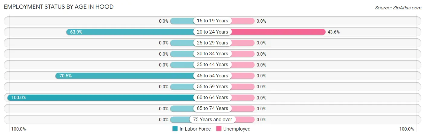 Employment Status by Age in Hood