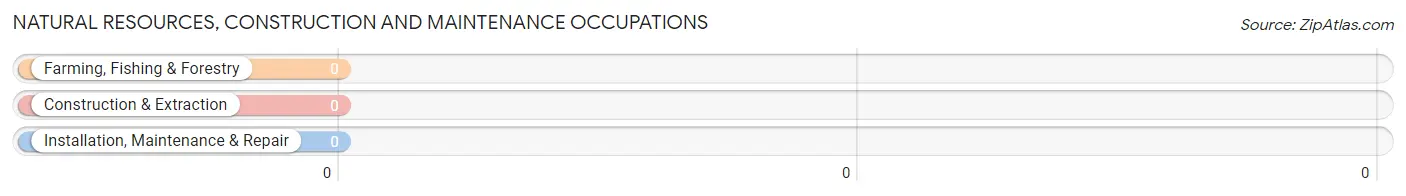 Natural Resources, Construction and Maintenance Occupations in Hyampom