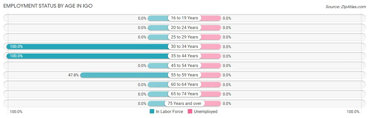 Employment Status by Age in Igo