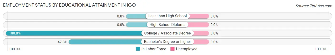 Employment Status by Educational Attainment in Igo