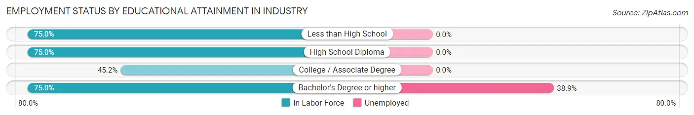 Employment Status by Educational Attainment in Industry