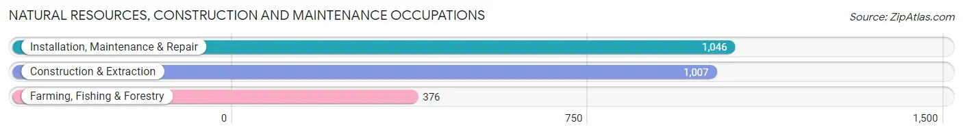 Natural Resources, Construction and Maintenance Occupations in Irvine