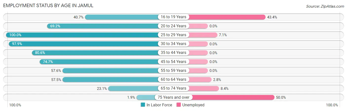 Employment Status by Age in Jamul