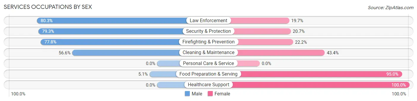 Services Occupations by Sex in Janesville