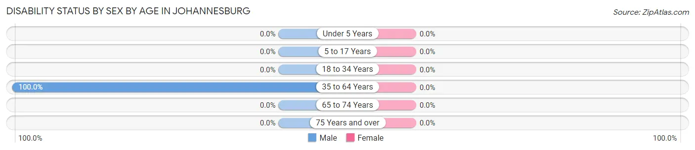 Disability Status by Sex by Age in Johannesburg
