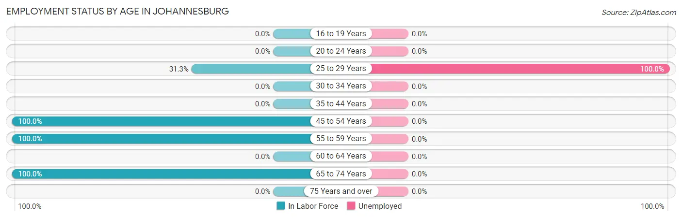 Employment Status by Age in Johannesburg