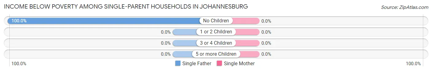 Income Below Poverty Among Single-Parent Households in Johannesburg