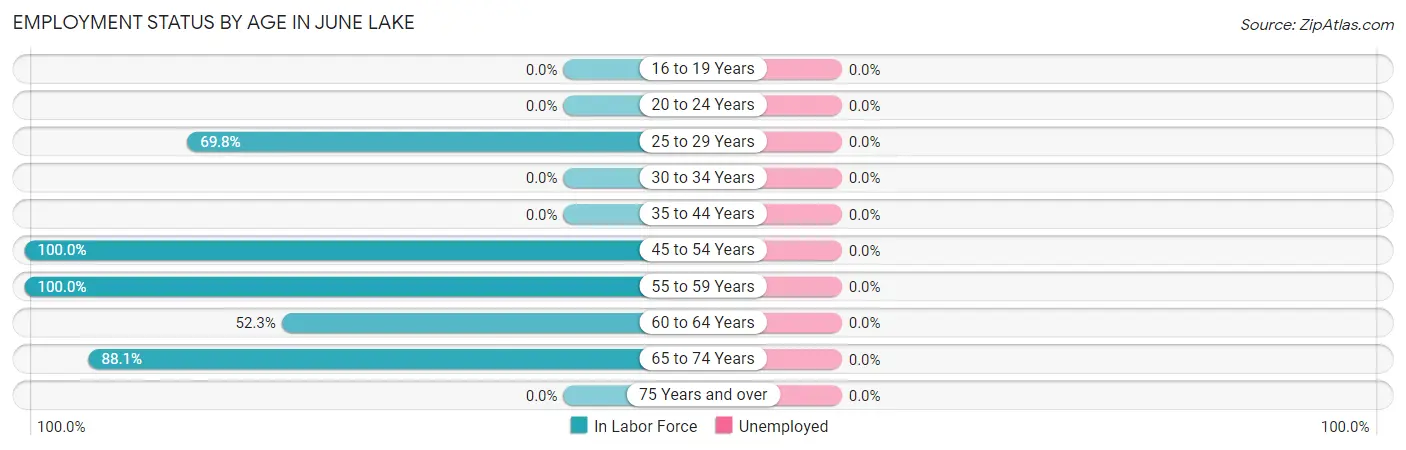 Employment Status by Age in June Lake