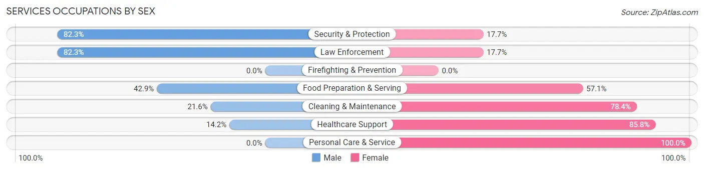 Services Occupations by Sex in Kerman