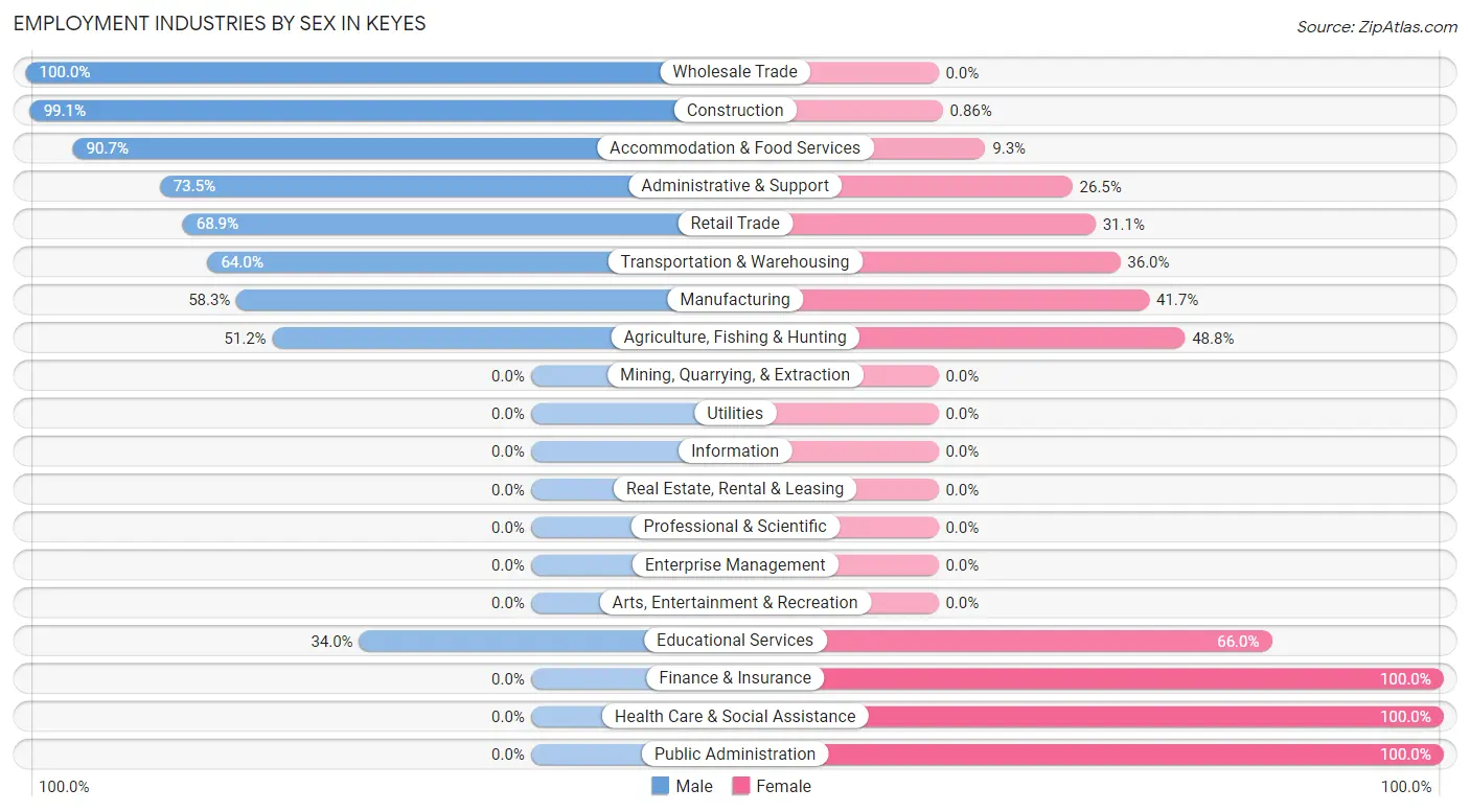 Employment Industries by Sex in Keyes