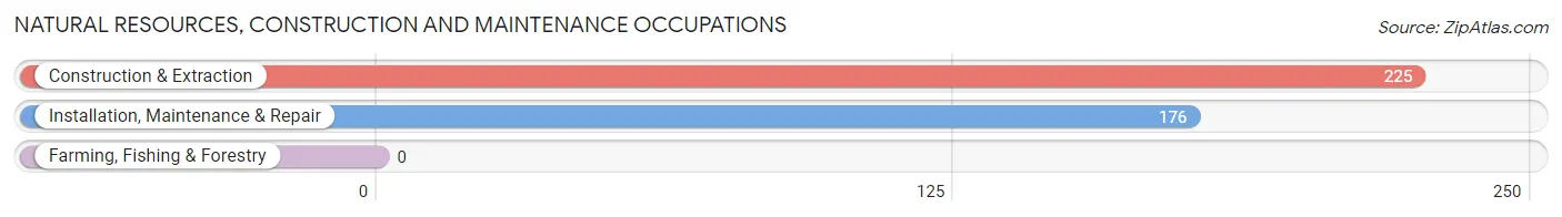 Natural Resources, Construction and Maintenance Occupations in La Palma